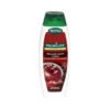 Šampūnas dažytiems plaukams PALMOLIVE NATURALS BRILLIANT COLOUR, 350 ml – SvarosPrekes.lt