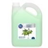 Skystasis muilas alyvuogių aromato NORD CLEAN, 3 l – SvarosPrekes.lt