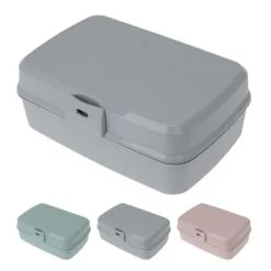 Plastikinė maisto dėžutė EH Premium, 21x15x8,5 cm – SvarosPrekes.lt