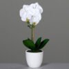 Dirbtinė orchidėja vazone LUWATEX, 43 cm