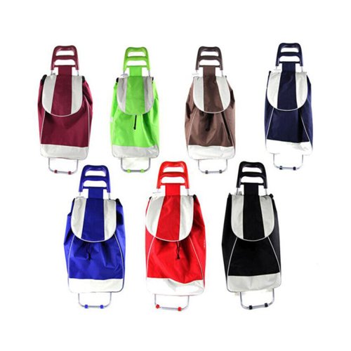 Sulankstomas-pirkinių-vežimėlis-MICHELINO,-38-l