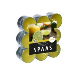 Kvapiosios arbatinės žvakės SPAAS SOUTHERN CITRUS, 8 H, 18 vnt.