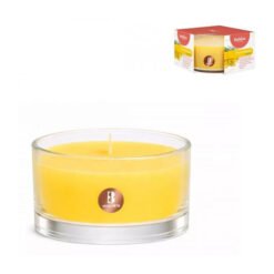 Kvapioji žvakė BOLSIUS MIMOSA, 8 x 5 cm, 24 h