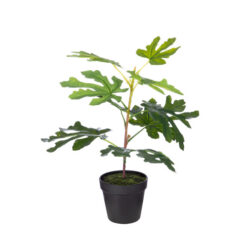 Dirbtinė gėlė CASABLANCA, 50 cm