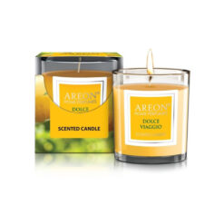 Kvapioji žvakė AREON DOLCE VIAGGIO, 120 g, 25 h