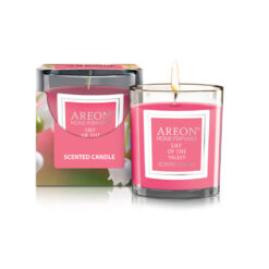 Kvapioji žvakė AREON LILY OF THE VALLEY, 120 g, 25 h