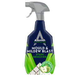 Pelėsio valiklis ASTONISH MOULD STAIN REMOVER, 750 ml